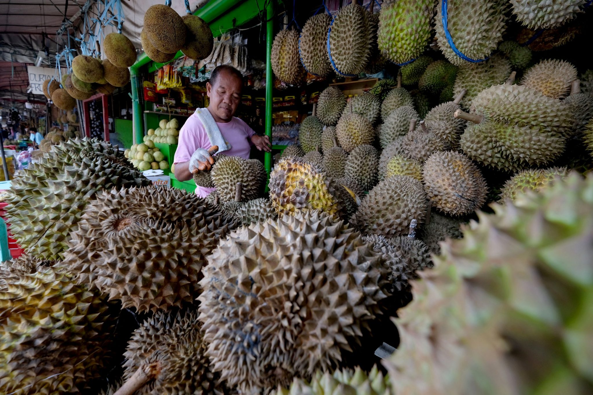 PH To Ship Durian To China In March Negosyante News