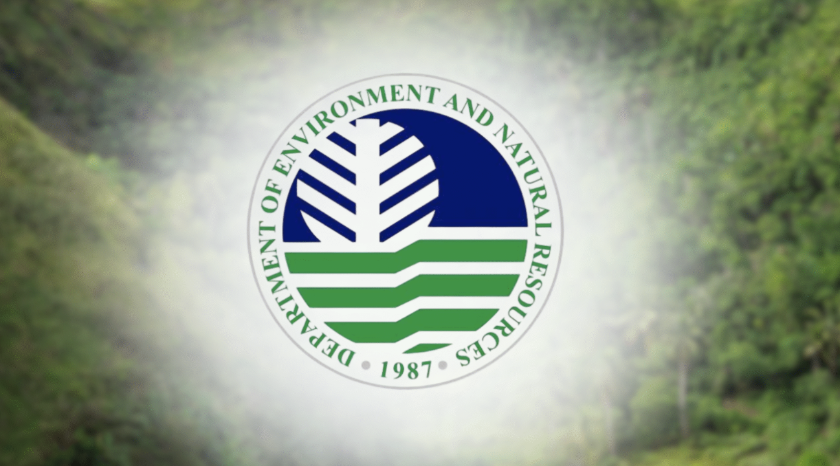 New Satellite-Based Forest Monitoring System Launched to Combat ...
