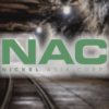Nickel Asia Expands to Kazakhstan with 20% Stake in Copper Mine