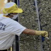 PH Manufacturing Activity Contracted in April as War Bites
