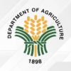PH and Vietnam Ink Landmark Rice Deal for 2026-2027