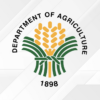 DA Earmarks ₱2.5 Billion for Coffee Roads to Boost Local Production