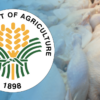 DA Council Warns vs. More Tariff Reductions on Pork, Poultry Imports